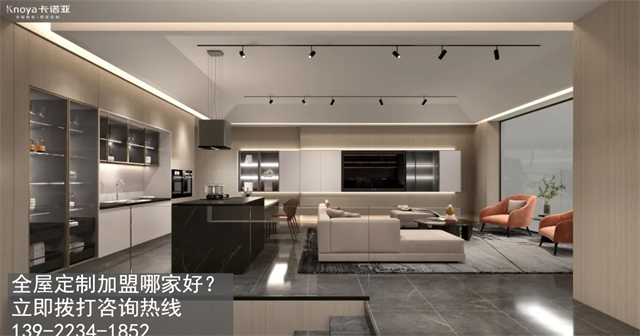 廣西北海加盟全屋定製怎麽樣?北海開定製家具店如何?
