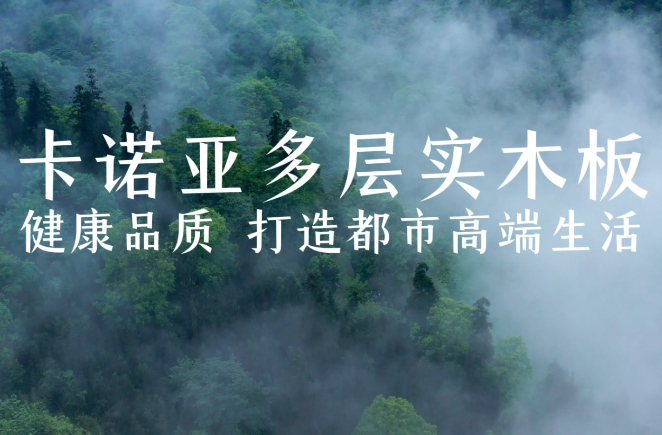 哔哩哔哩视频APP版下载多層實木板，環保品質再升級