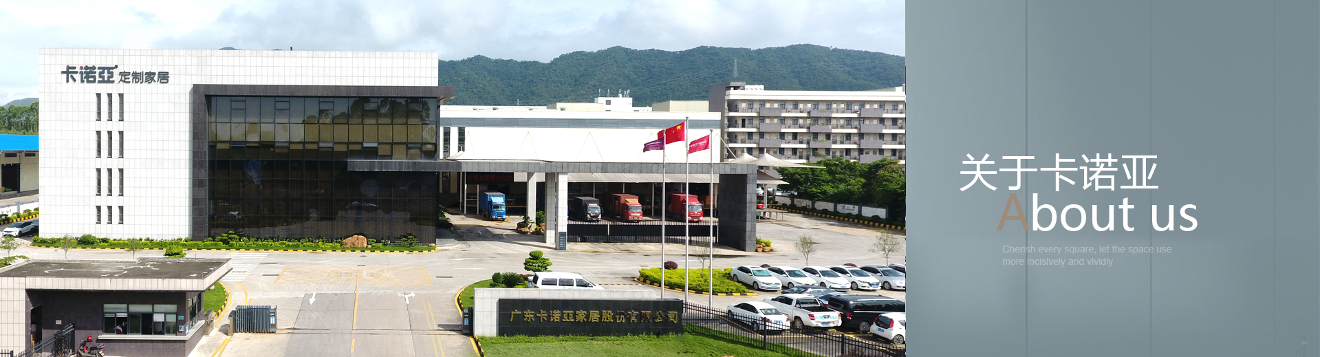 關於哔哩哔哩视频APP版下载